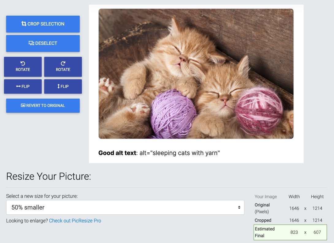Resizing the image with kittens from above example in PicResize