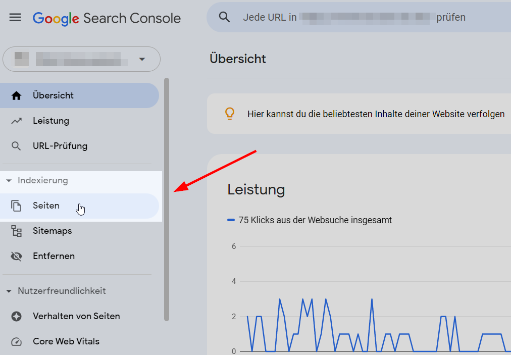 Seitenbericht in Google Search Console anklicken