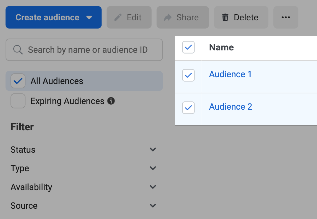 Meta Ads Manager audiences