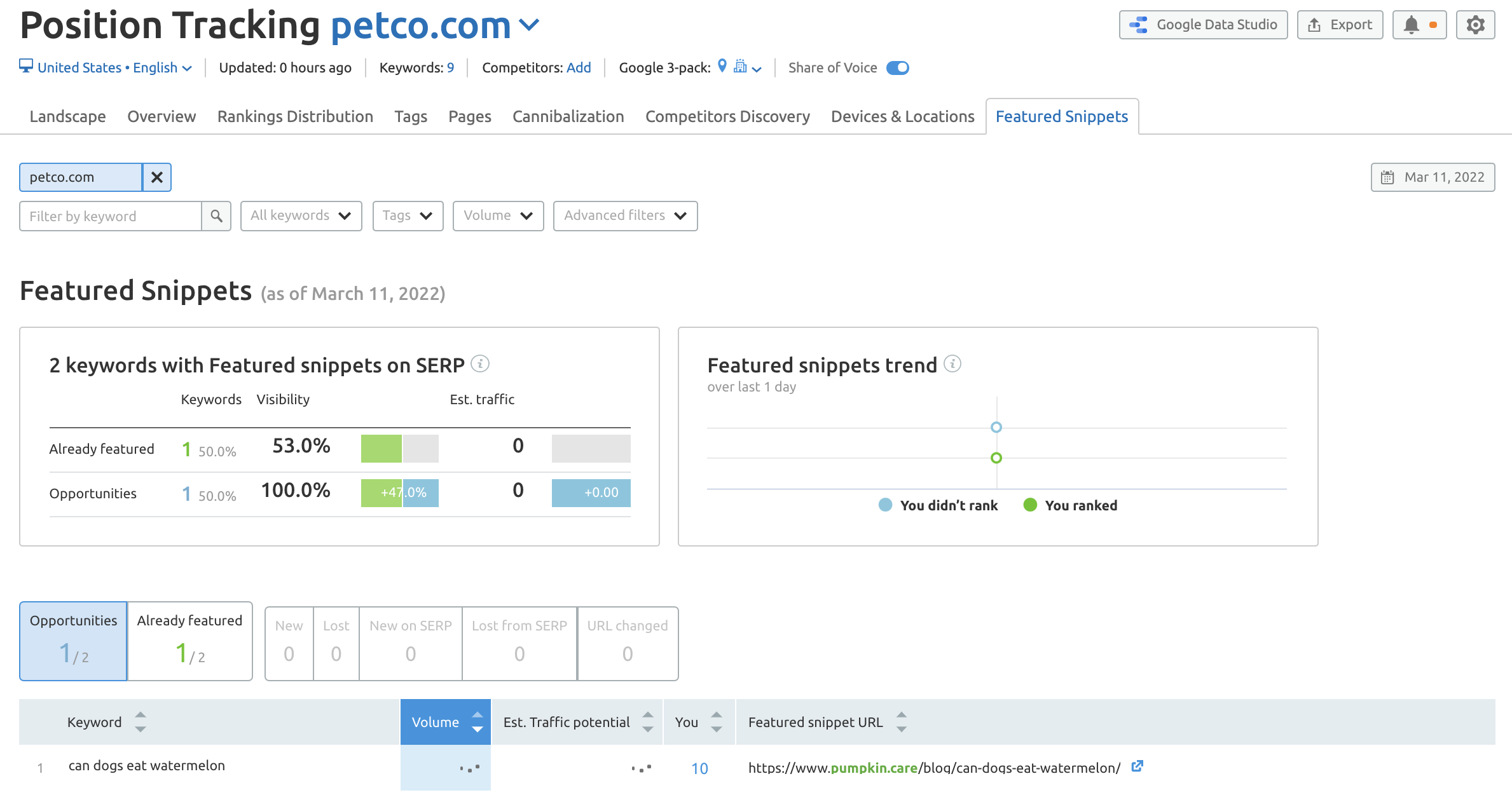 Petco featured snippets in Position Tracking tool