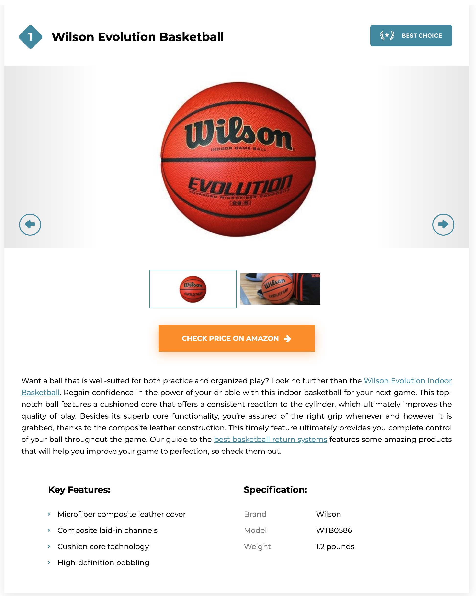 Wilson Evolution basketball review screenshot