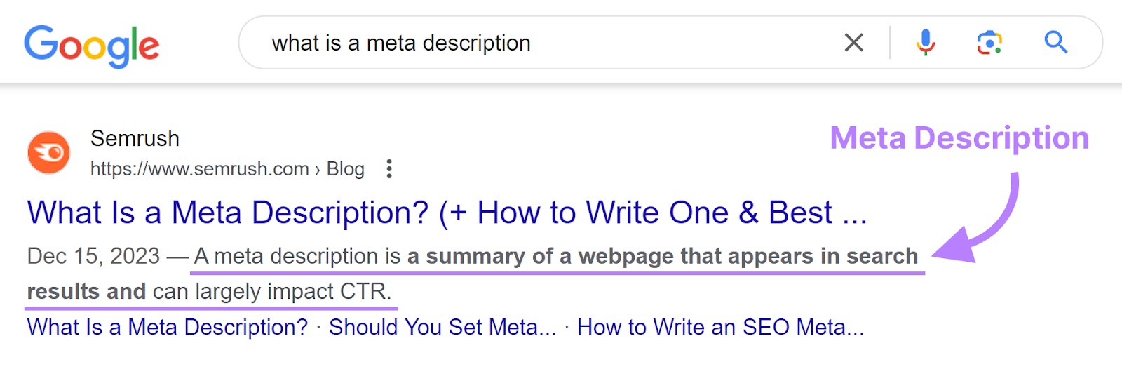 Meta description shown in the top result of a Google Search Engine Results Page.