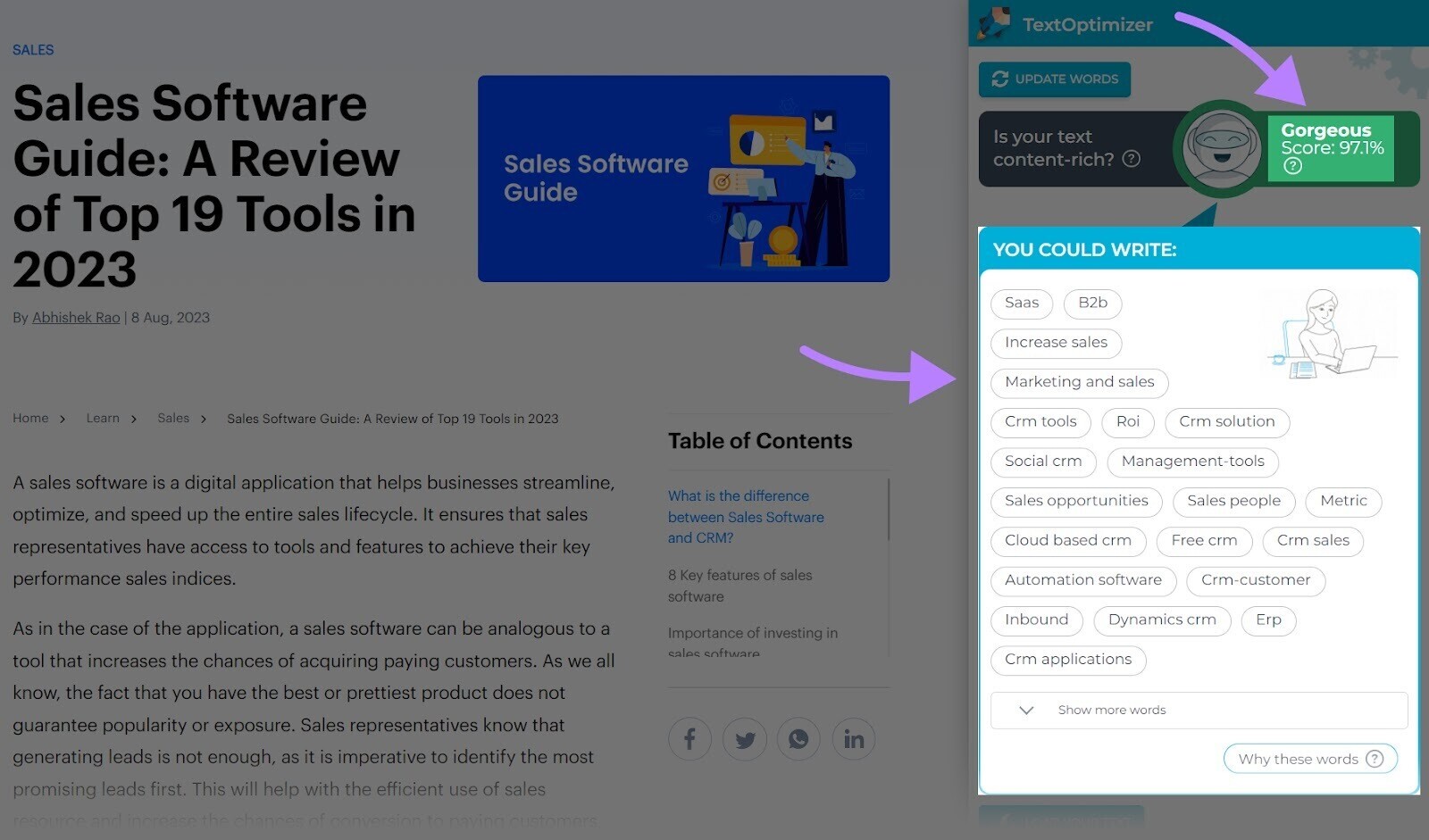 TextOptimizer provides useful recommendations for optimizing your content
