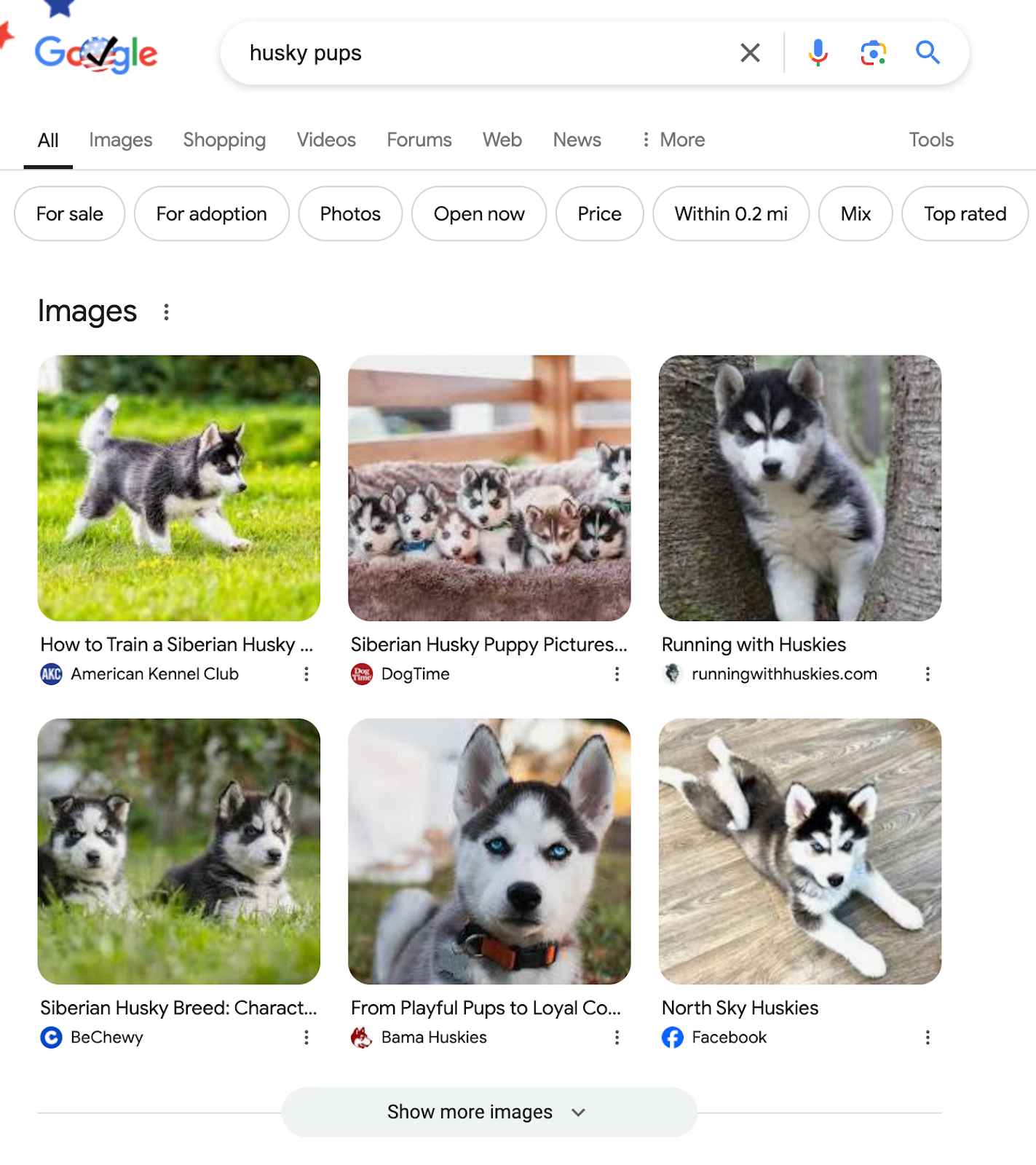 results for husky pups shows image pack serp feature. we see six different images of husky puppies pulled from various sites.