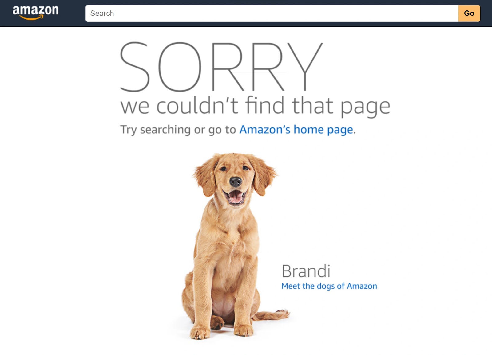 Amazon's custom 404 page with an image of a dog named "Brandi"