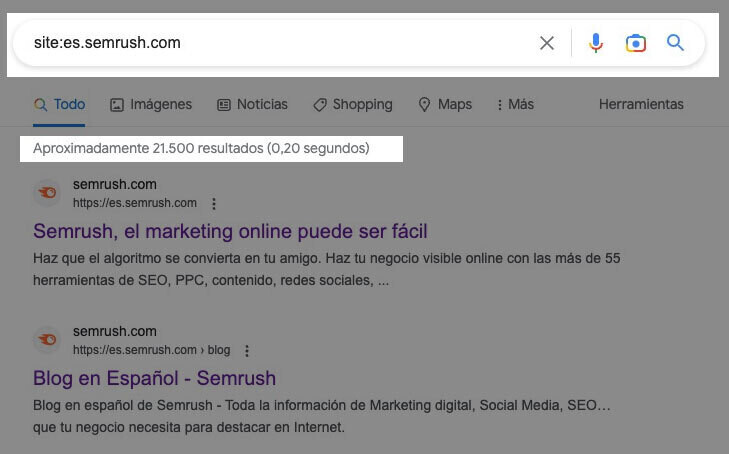 páginas indexado de Google