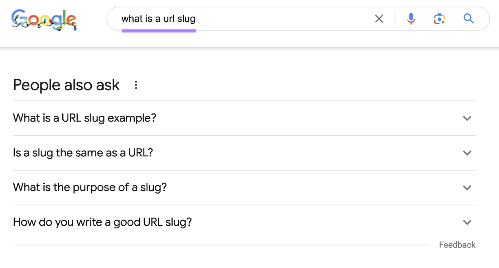 “People also ask” section for "what is a url slug" query