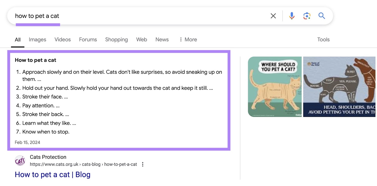 Google SERP for nan connection "how to pet a cat" triggering an ordered database snippet.