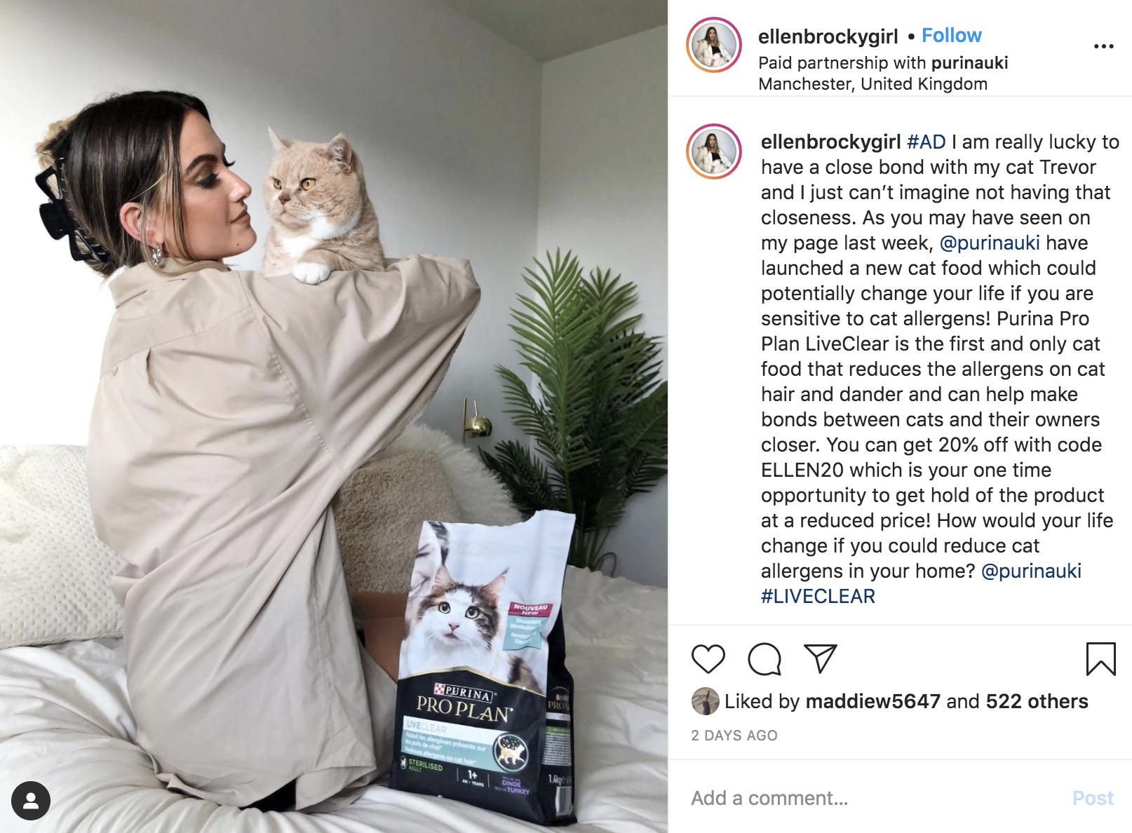 Instagram Influencer example