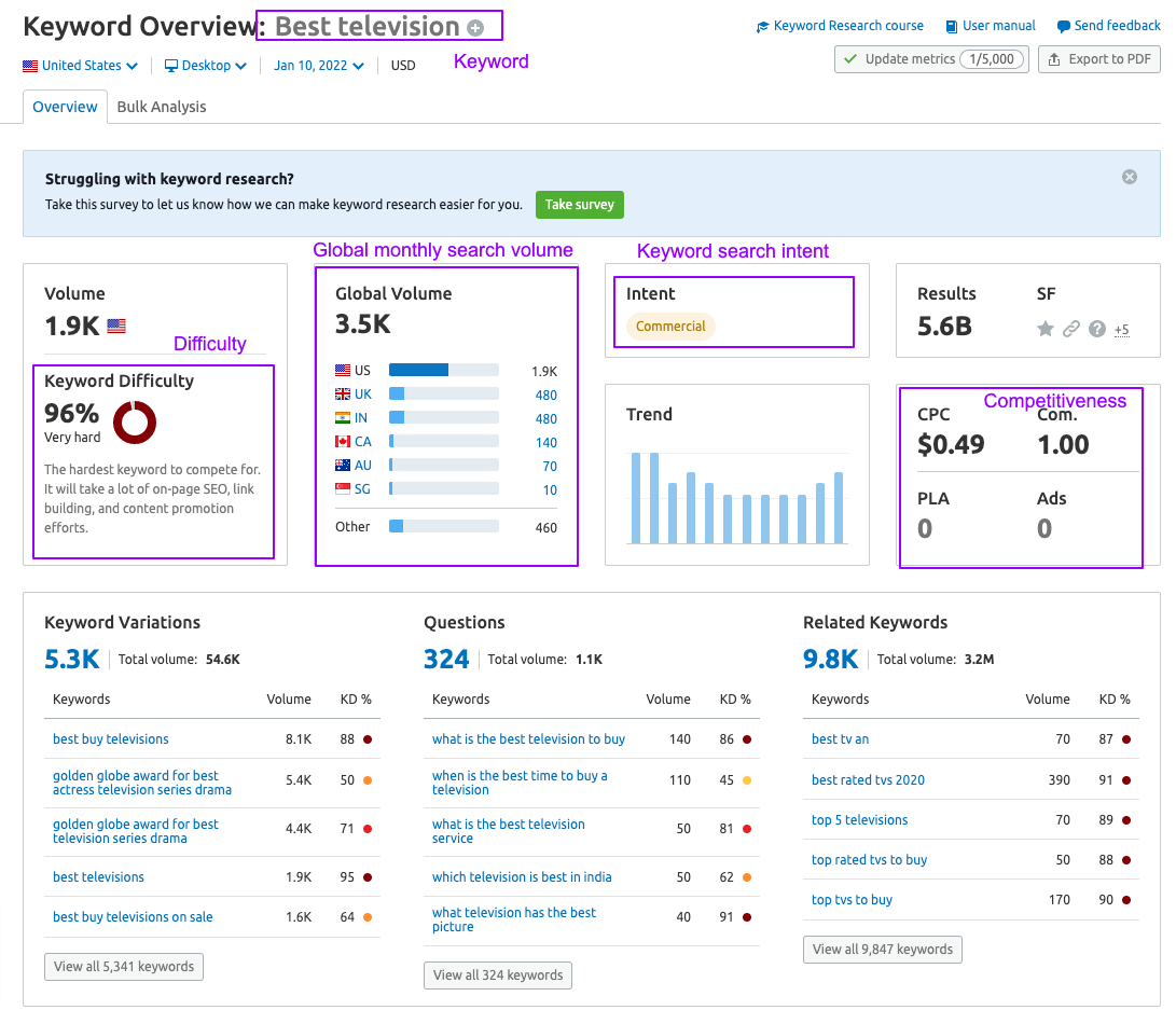 screenshot of results successful  the keyword overview tool