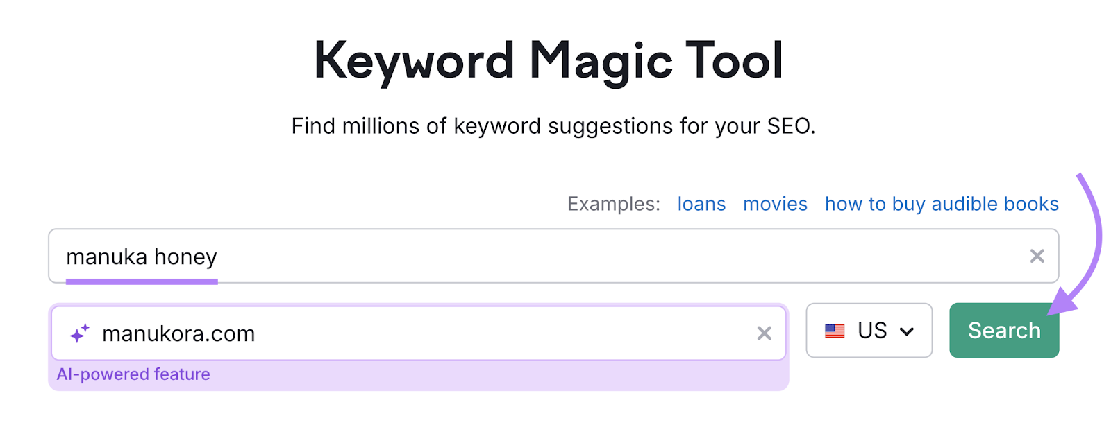 keyword and domain entered into tool