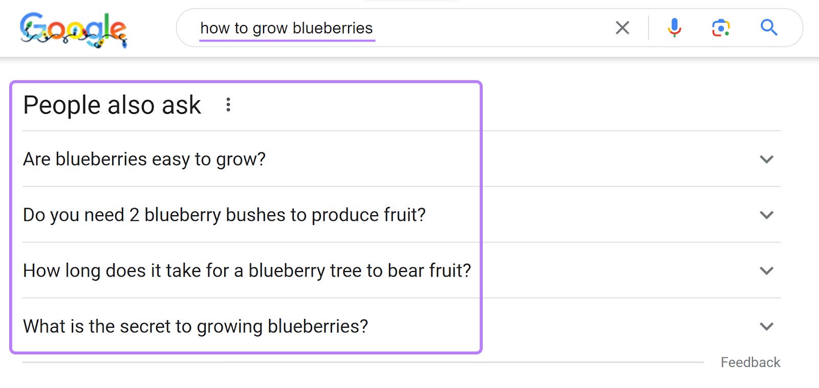 "People also ask" feature on Google SERP for "how to grow blueberries" query