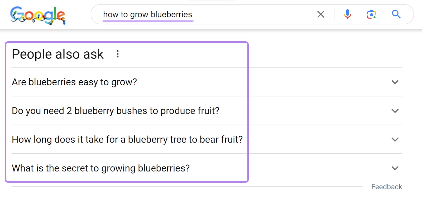 Función "La gente también pregunta" en la SERP de Google para la consulta "cómo cultivar arándanos".