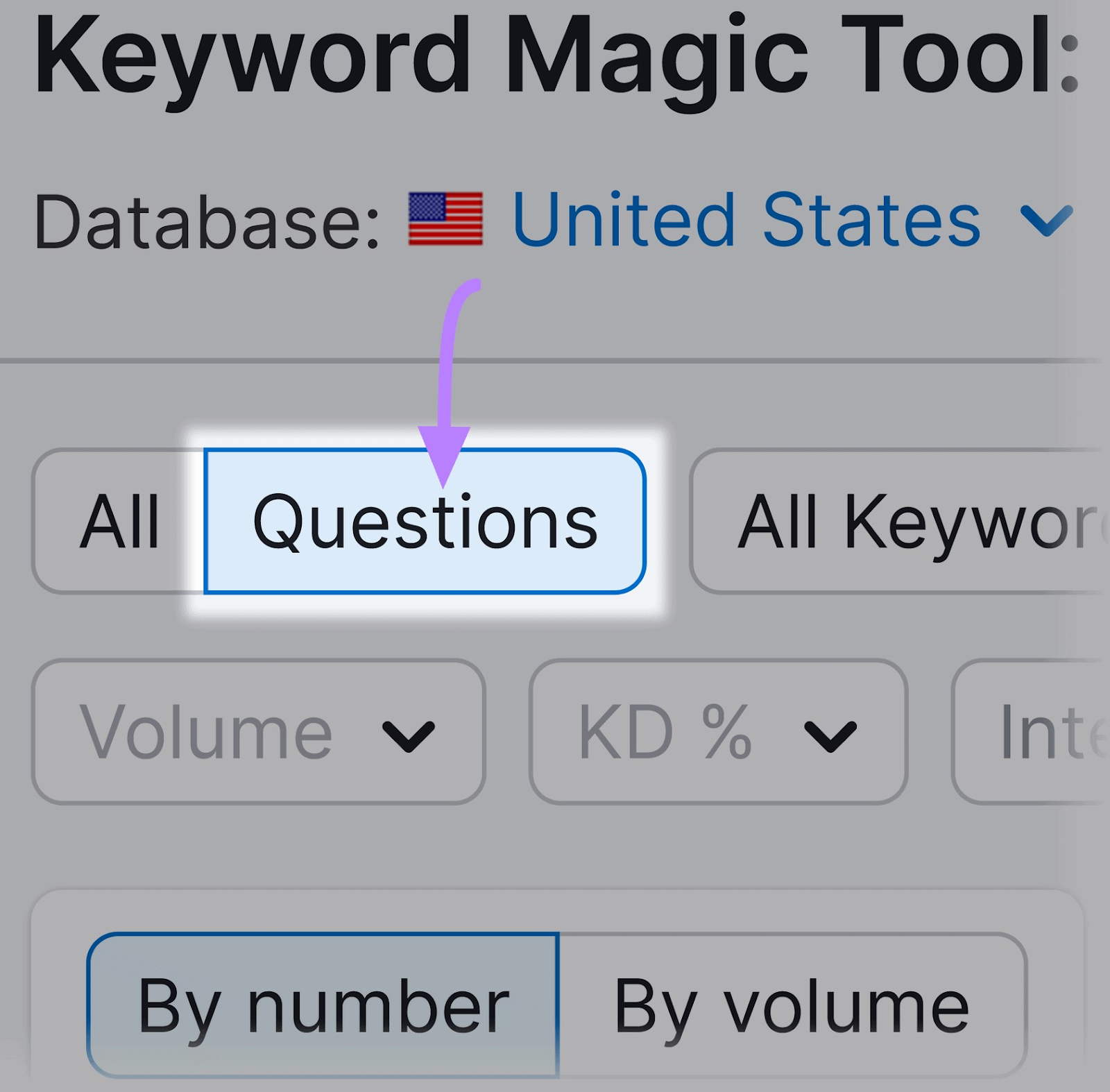 &Quot;Questions&Quot; Filter Highlighted In The Keyword Magic Tool