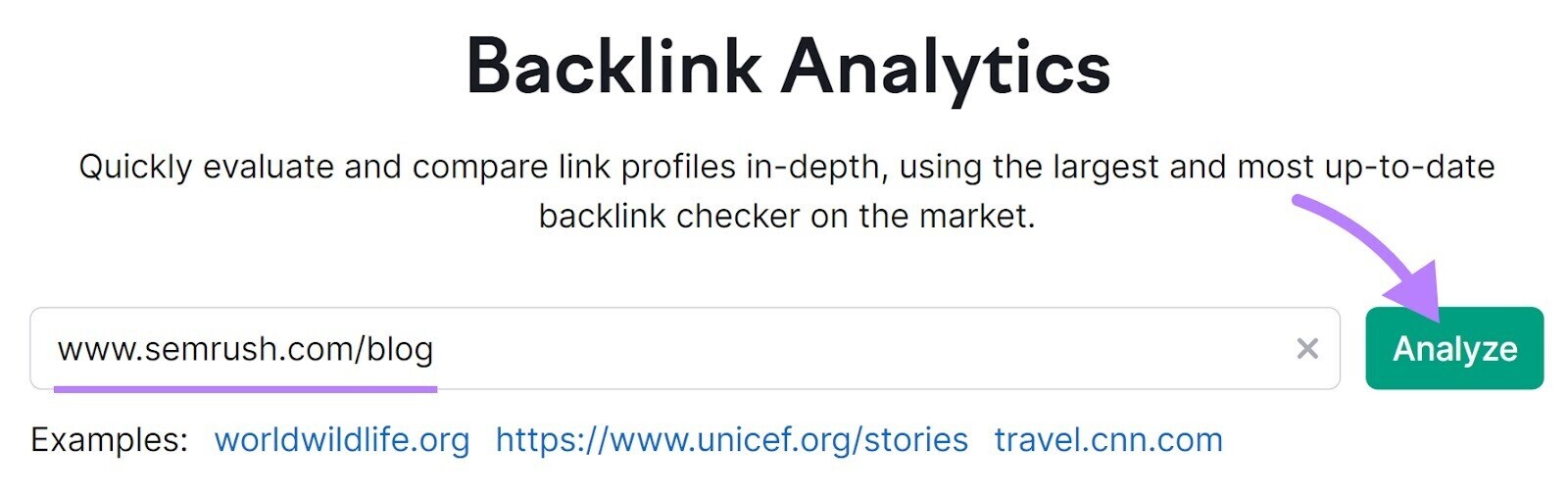 Backlink Analytics search bar