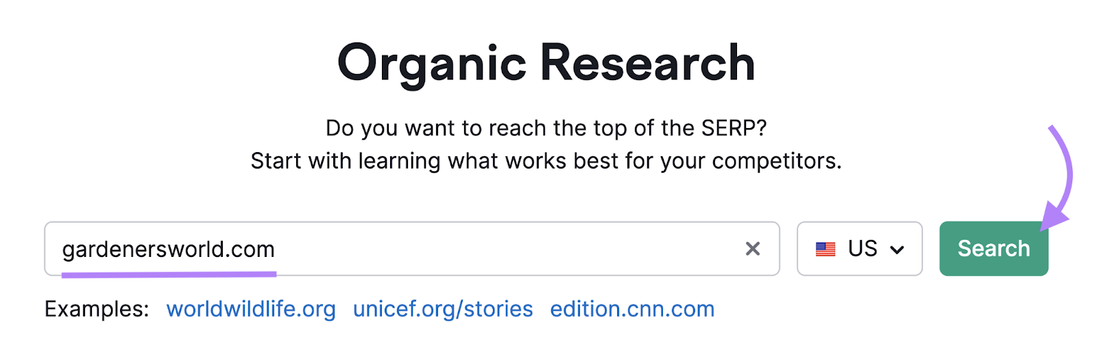 search for a competitor's domain in Organic Research tool