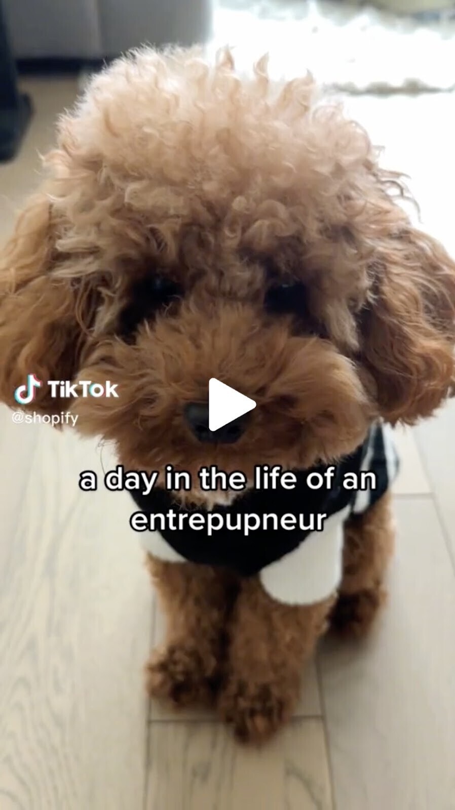 “a day in the life of an entrepupneur" TikTok video by Shopify