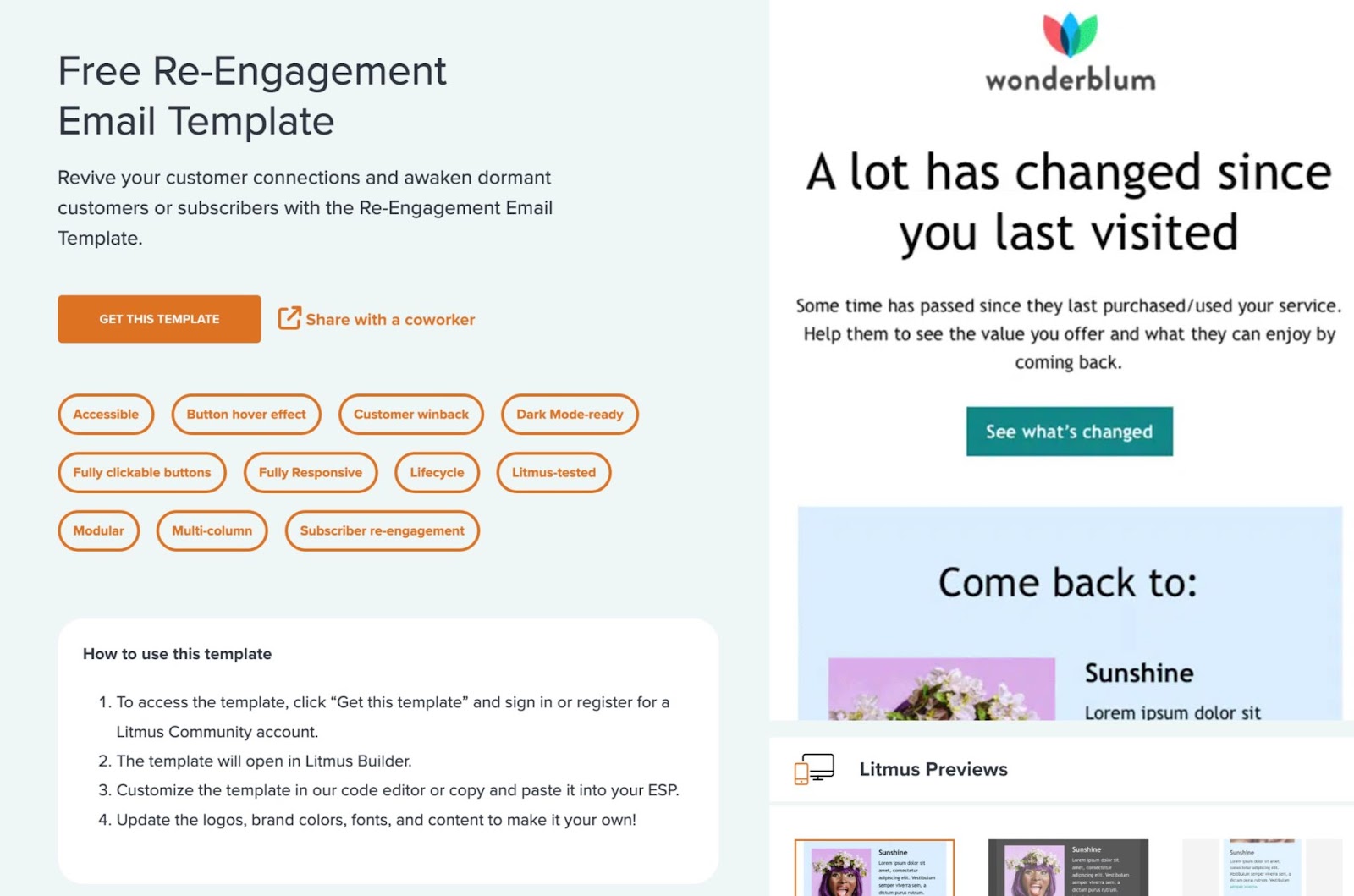 "Free Re-Engagement Email Template" page