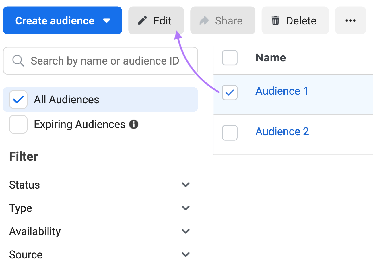 Meta Ads Manager “Audience” section