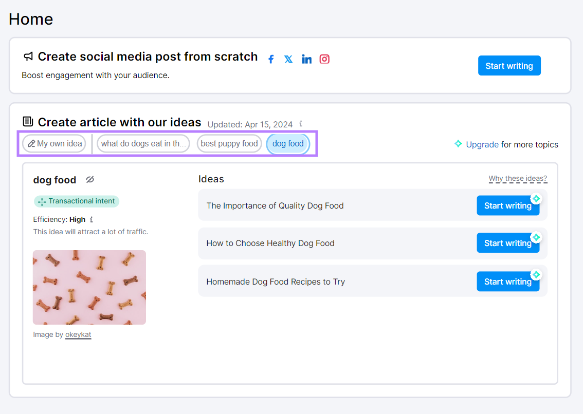 Creating article ideas for a pet food company with the Content Shake AI tool