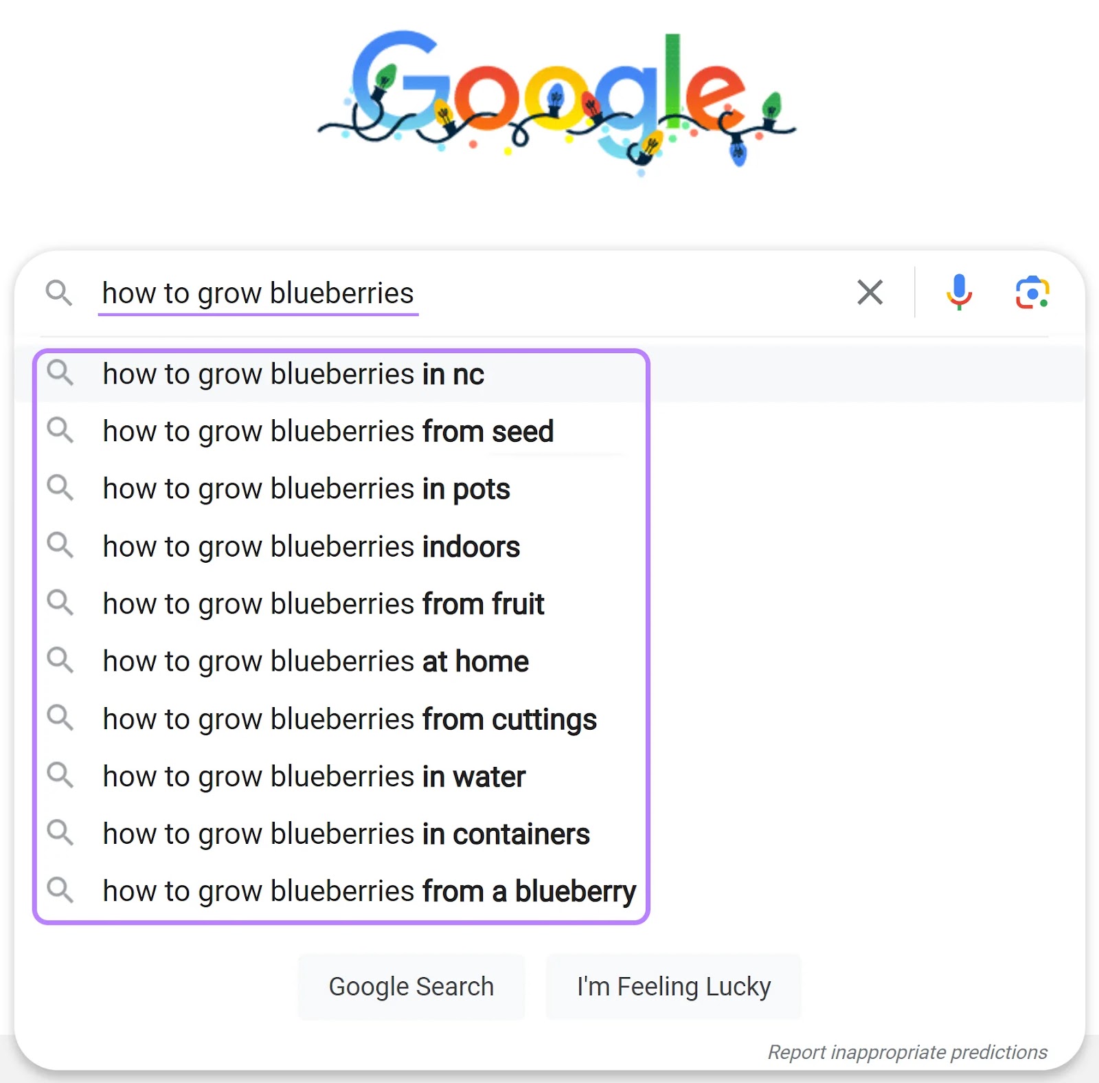 Sugerencias de autocompletar de Google al escribir "cómo cultivar arándanos" en la búsqueda