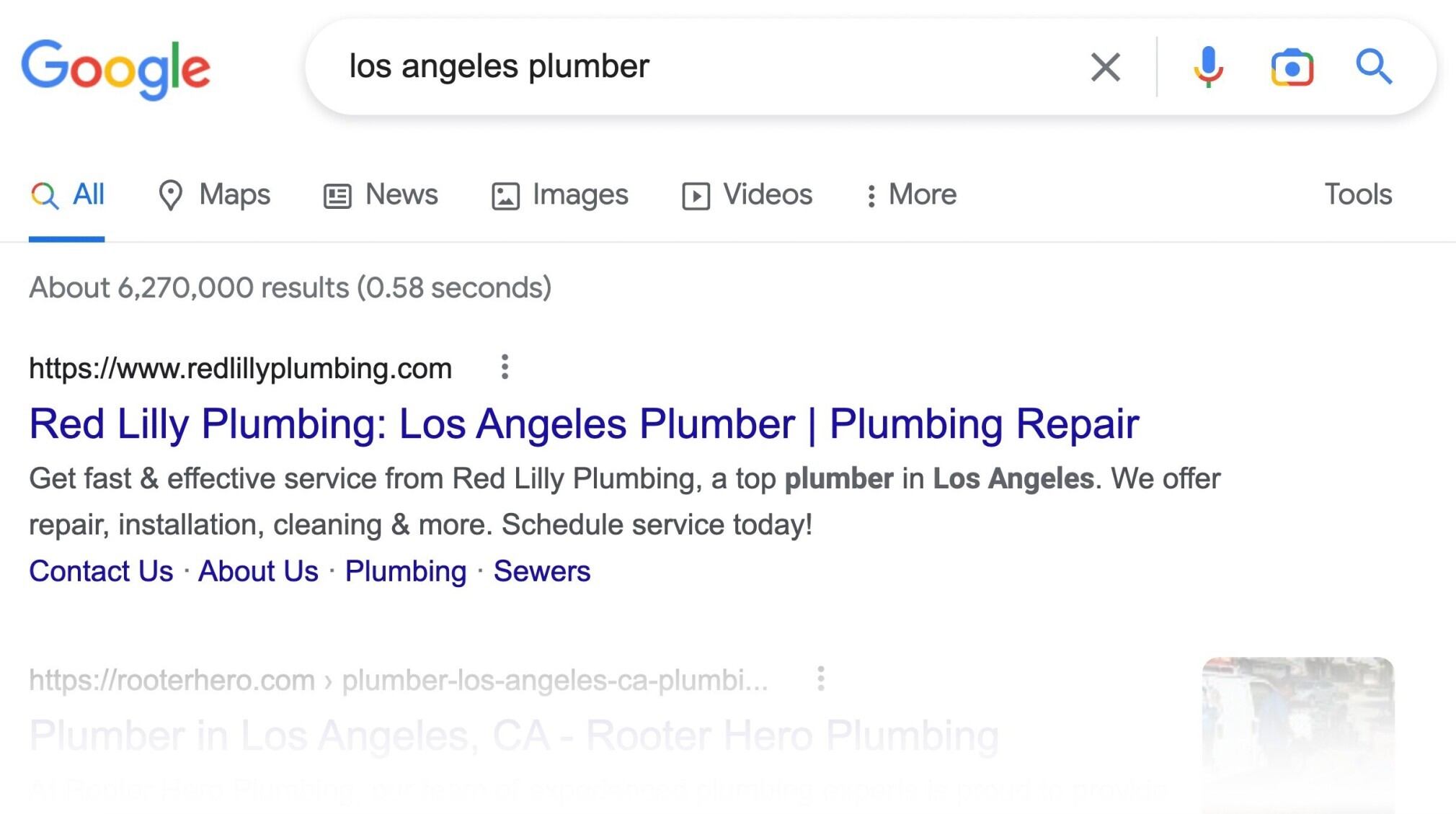 organic keyword LA plumber