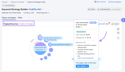 Topics report in Keyword Strategy Builder