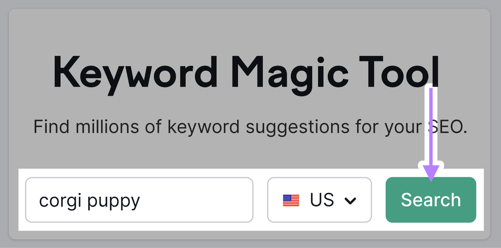 A search for "corgi puppy" in the U.S. in Semrush's Keyword Magic Tool. There's an arrow to the "Search" button.