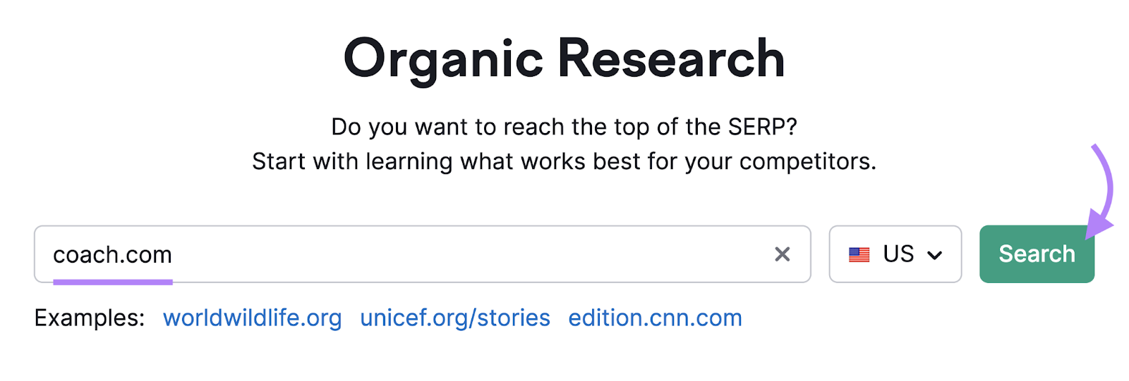 search for coach.com successful  Organic Research tool