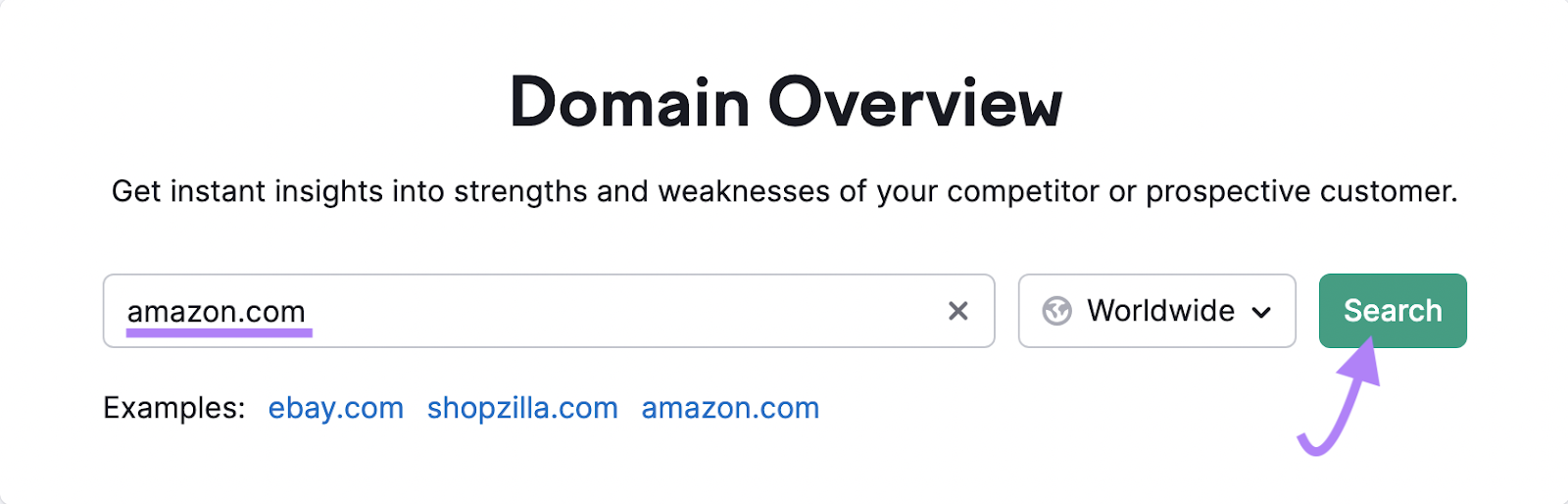 "amazon.com" entered into the Domain Overview search bar