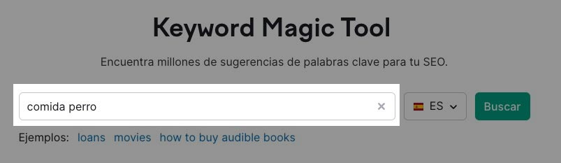 Página principal de la herramienta Keyword Magic Tool