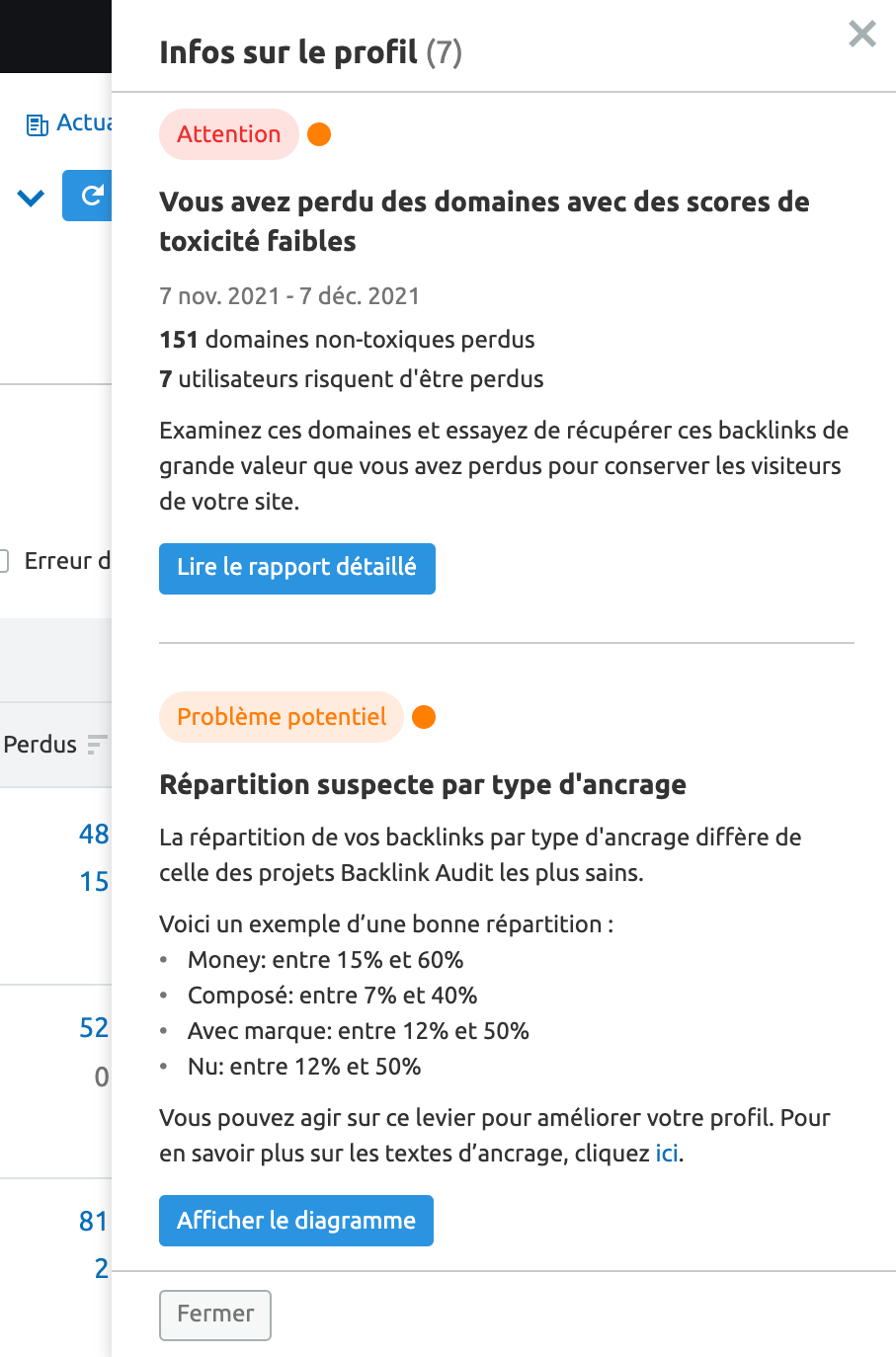 Infos sur le profil dans Backlink Audit