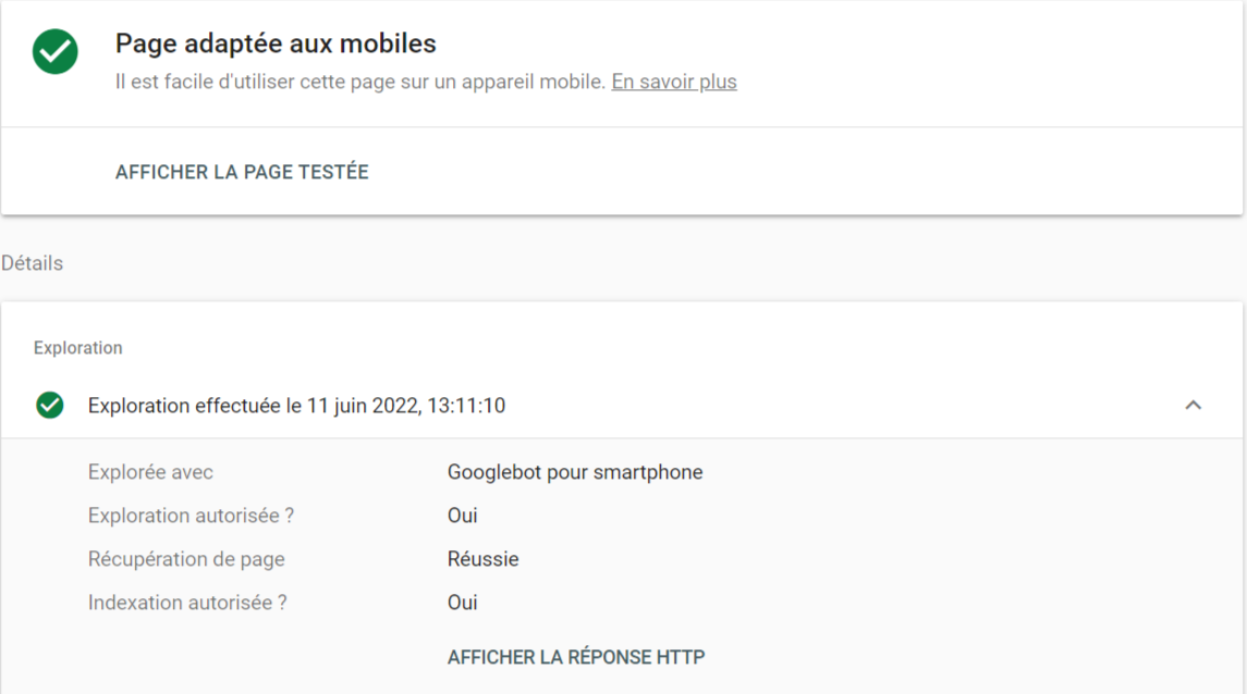 Test d'optimisation mobile Google