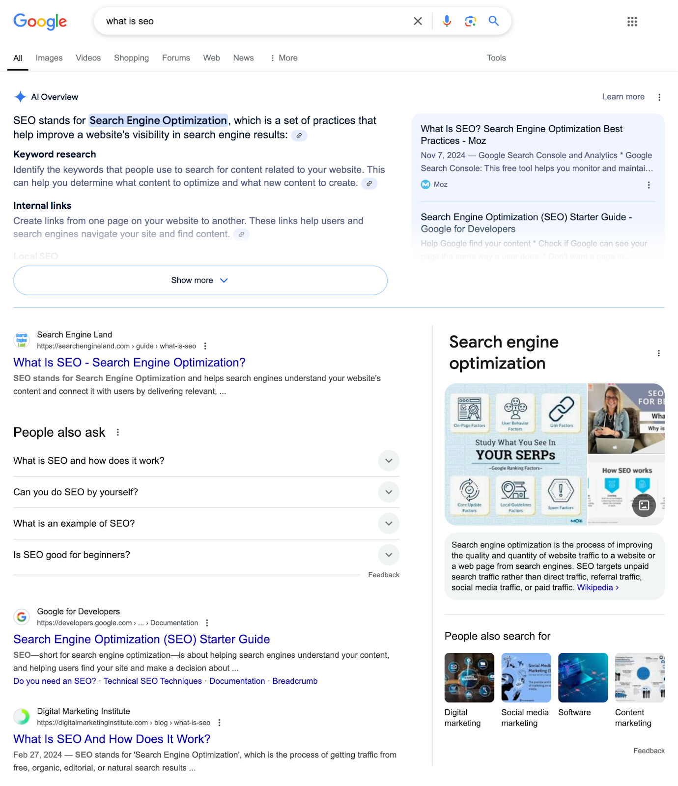 SERP for what is seo shows an AI overview, organic results, people also ask, and images.
