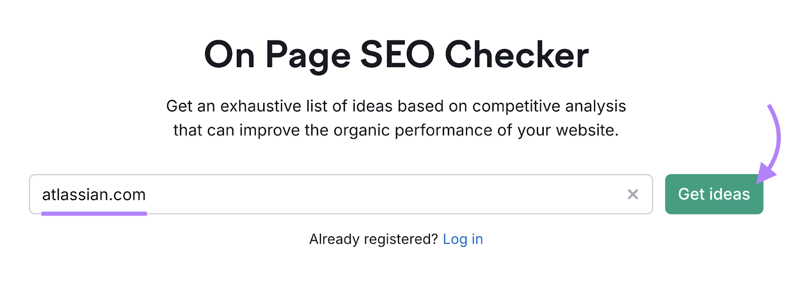 domain entered into on page SEO checker tool