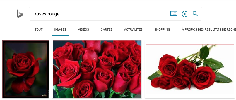 résultats images BING