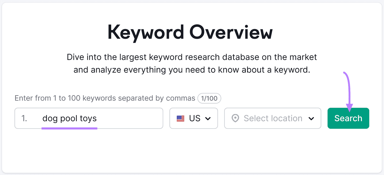 " **** toys" keyword entered into the Keyword Overview tool search bar