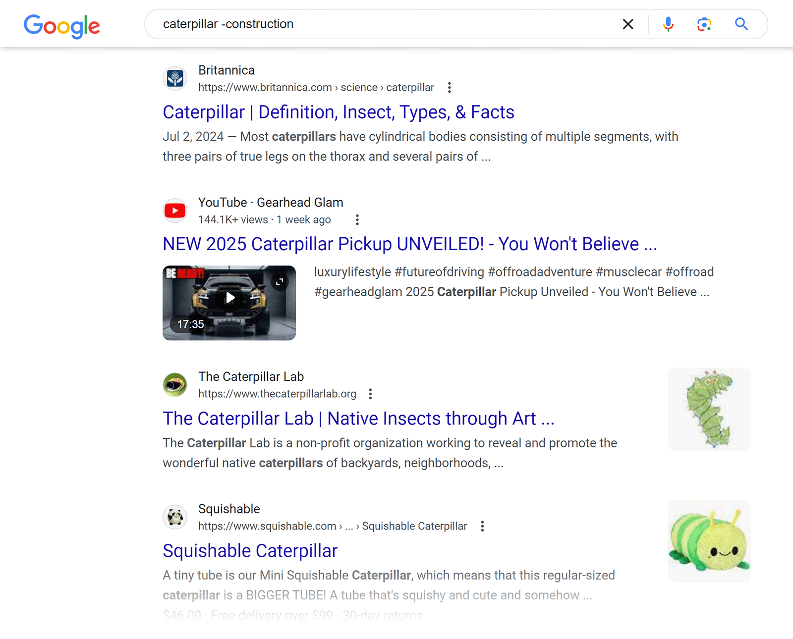 Google SERP for 'caterpillar -construction' showing search results about the insect and non-construction products