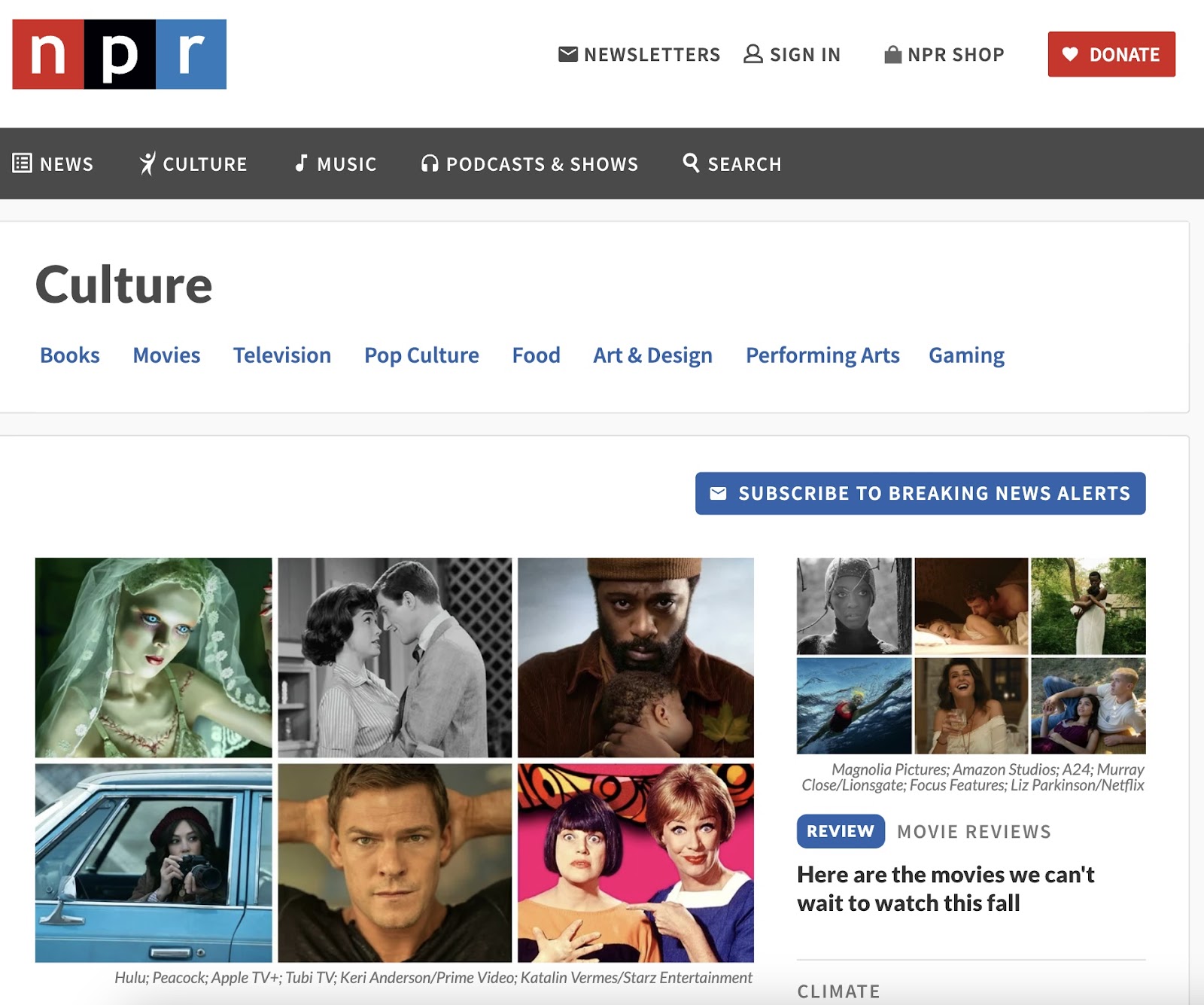 "Culture" section on NPR's website