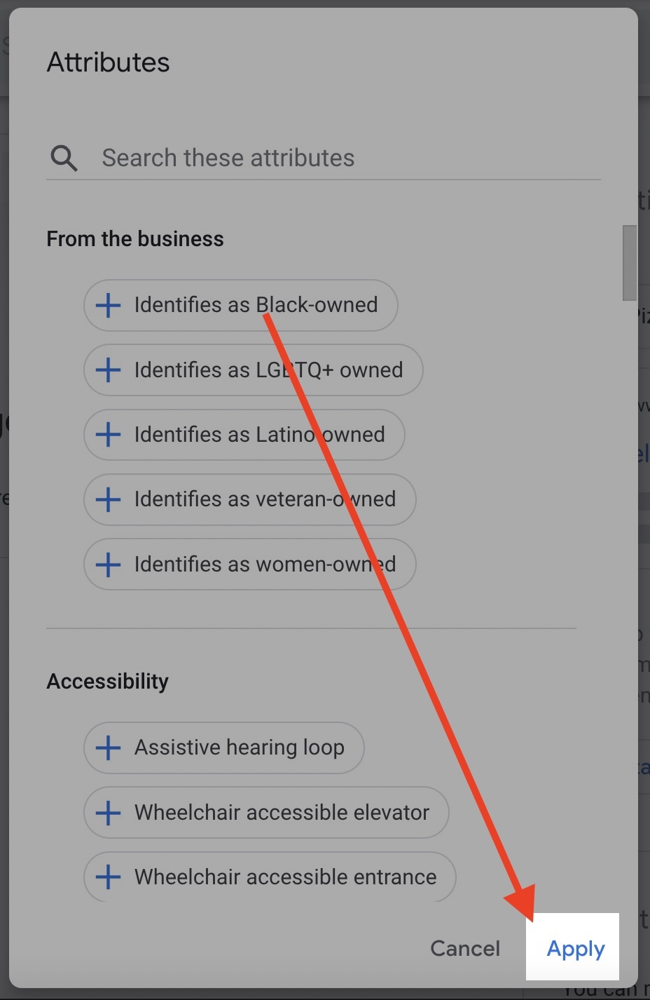 Guia Definitivo do Google Meu Negócio 64 aplicar atributos