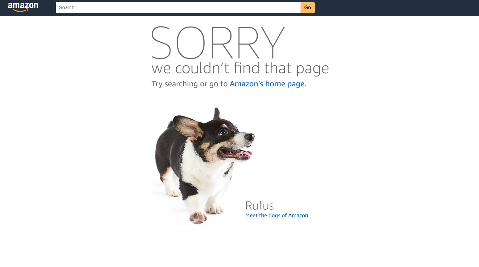 A 404 error on Amazon