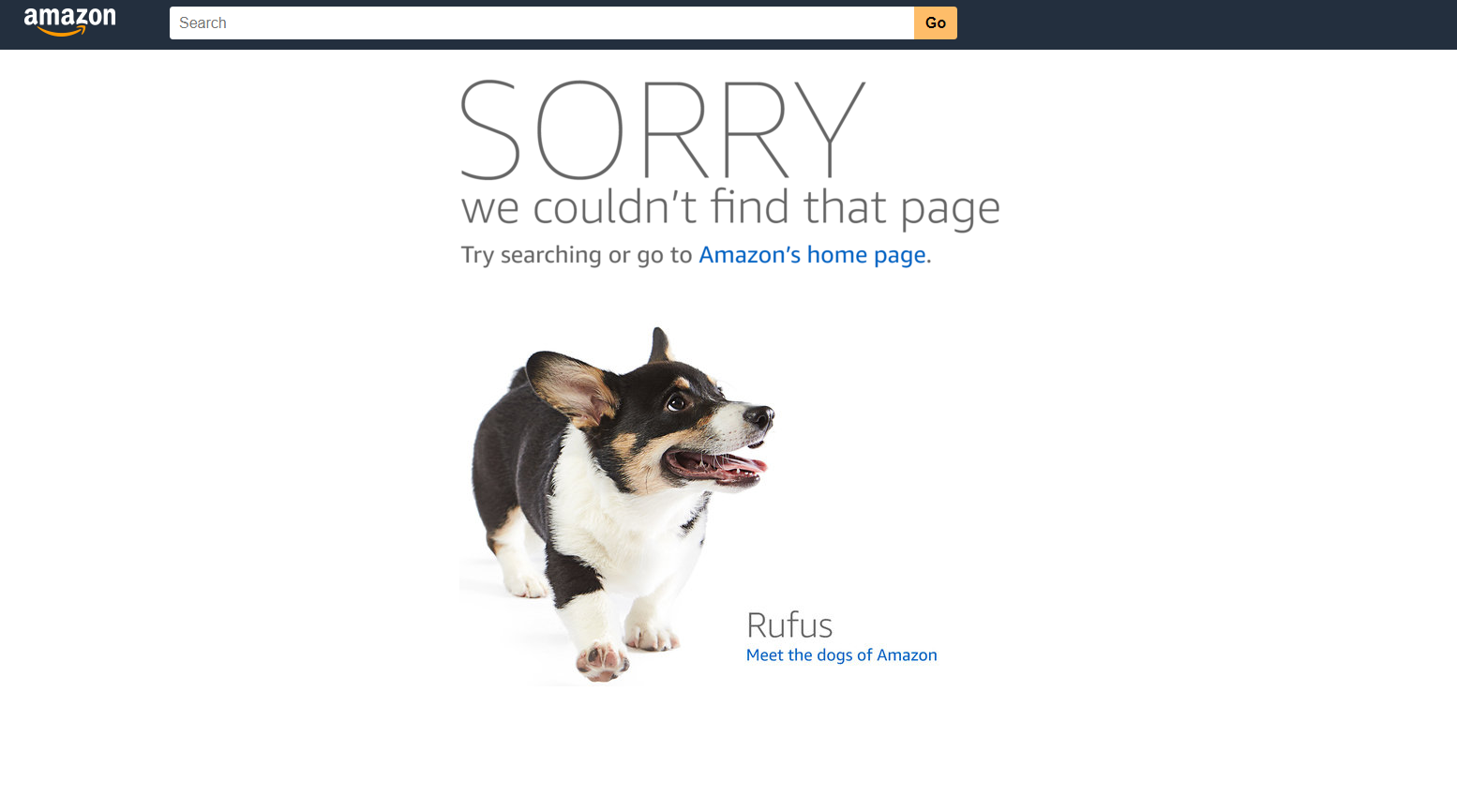 Un error 404 en Amazon