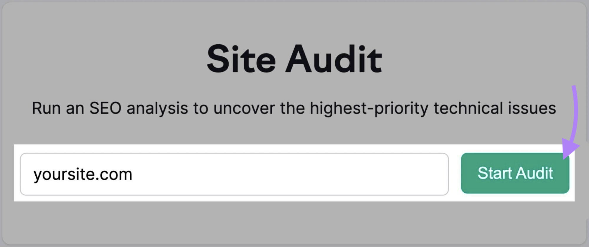Site audit tool, enter your domain