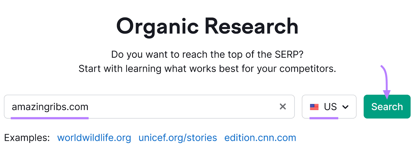 Organic Research tool with a search bar pre-filled with "amazingribs.com" and a green "Search" button with an arrow above it.