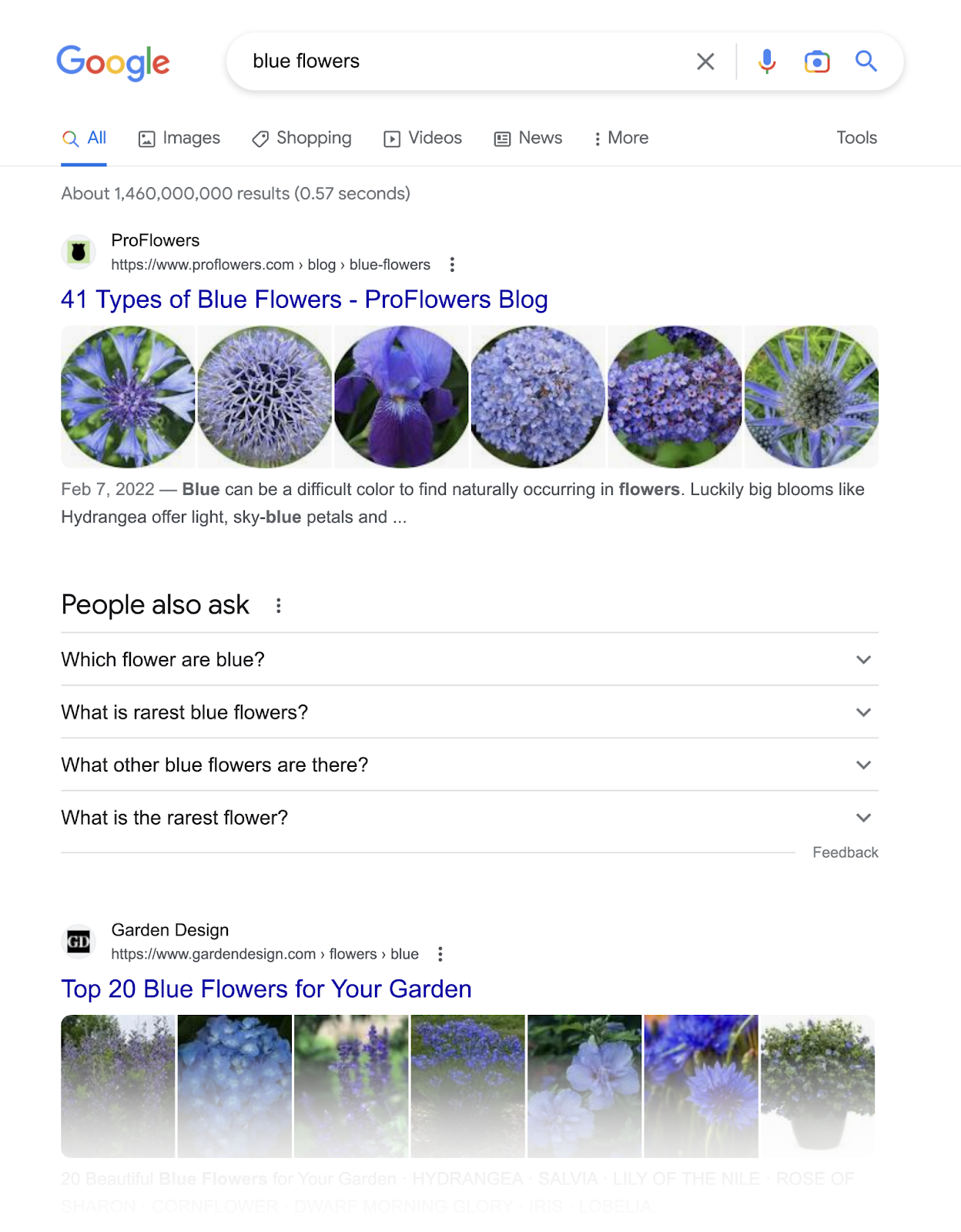 SERP for blue flowers
