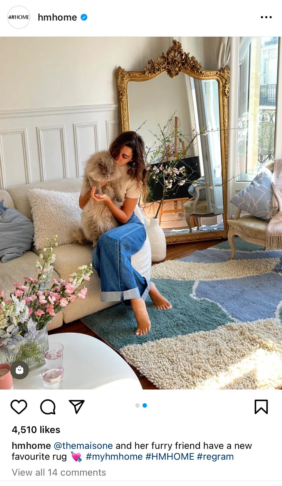 An Instagram post by H&M Home with "@themaisone and her furry friend have a new favourite rug" description