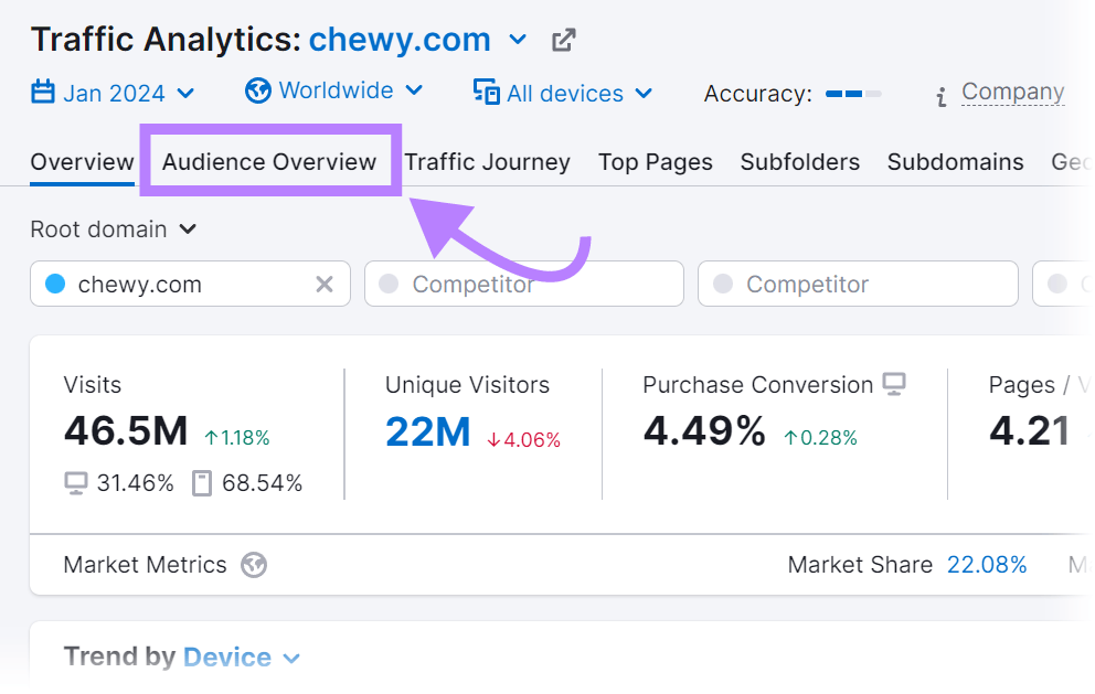 "Audience Overview" tab highlighted successful  Traffic Analytics tool