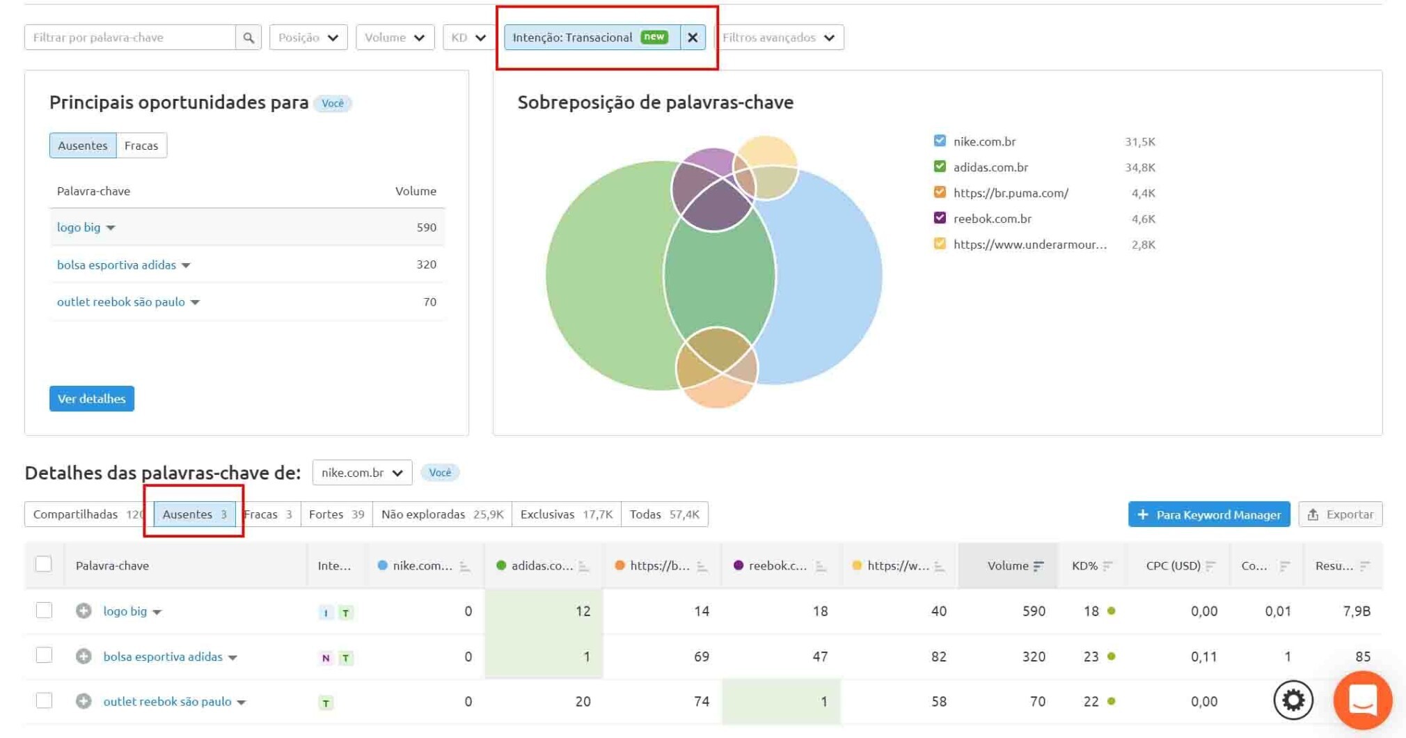 graficos semrush