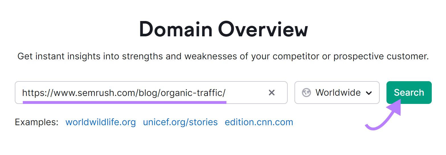 Domain Overview tool search bar