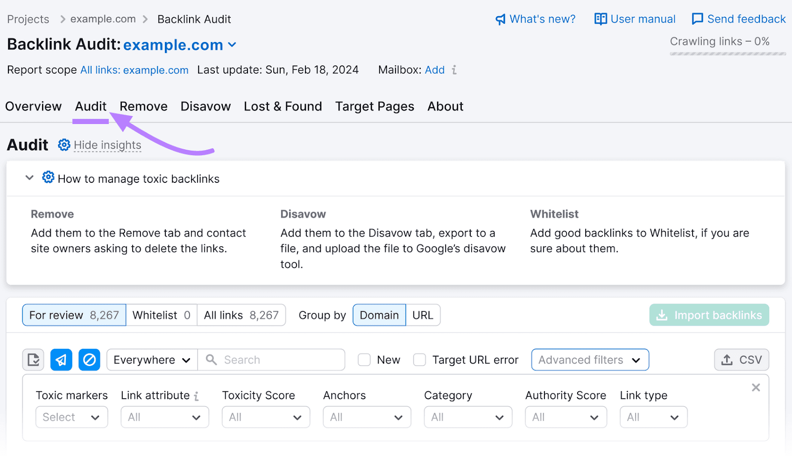 “Audit” tab in Backlink Audit tool